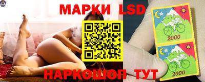 ECSTASY Краснодар