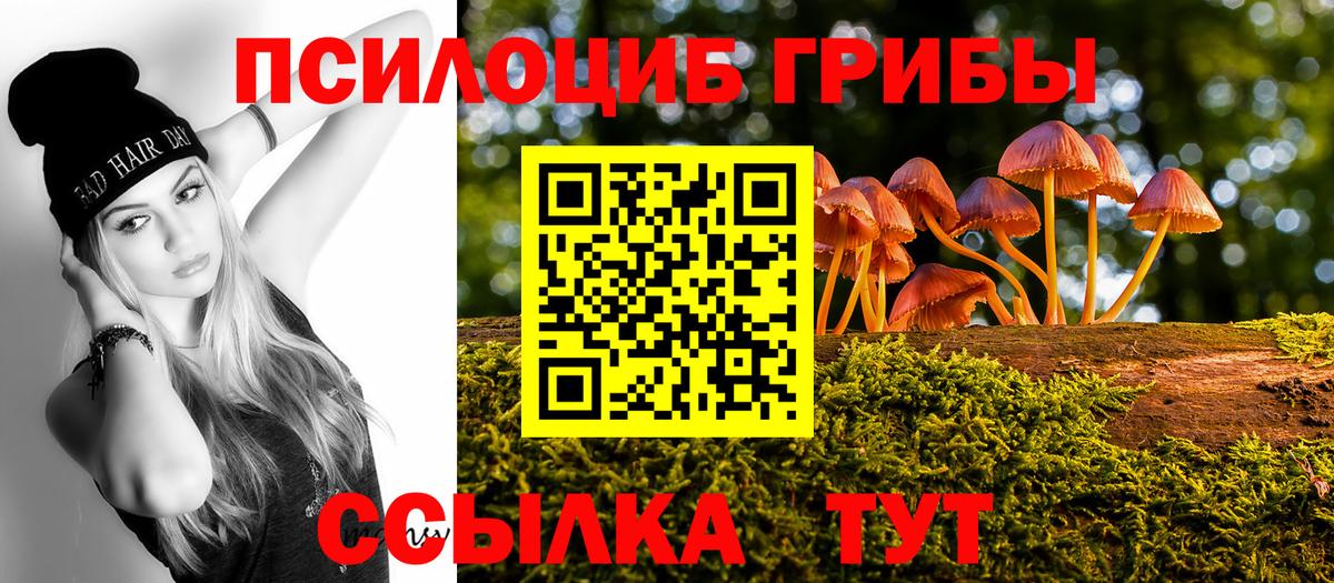 Зеленокумск  Галлюциногенные грибы Magic Shrooms  Вход с VPN 